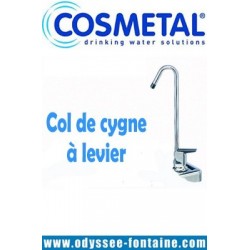 COL DE CYGNE FONTAINE A EAU