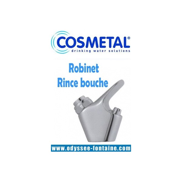 ROBINET RINCE BOUCHE FONTAINE A EAU