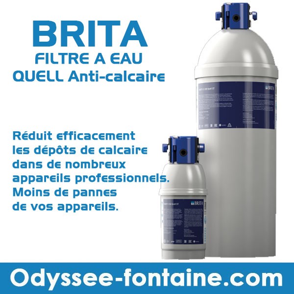 https://www.odyssee-fontaine.com/2273/brita-filtre-a-eau-anti-calcaire-purity-a-visser.jpg