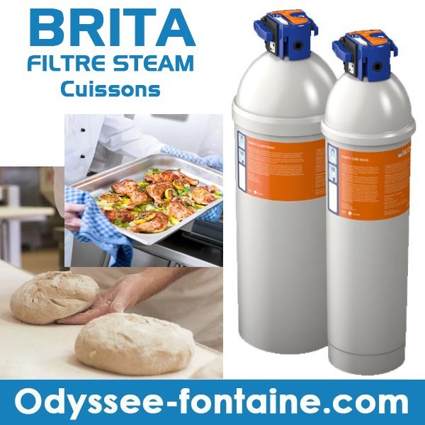 BRITA FILTRE A EAU STEAM PURITY C