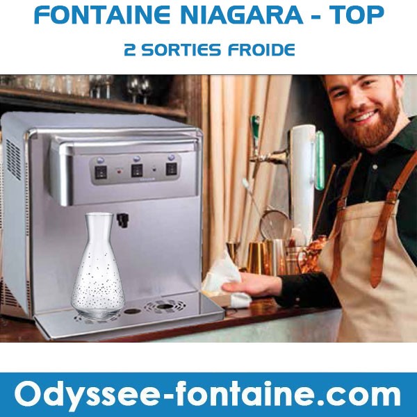 Fontaine à eau froide pour carafes 2 sorties Fontaine à eau froide pour carafes 2 sorties