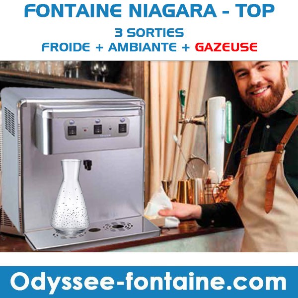 Fontaine à eau gazeuse pour carafes 3 sorties Fontaine à eau gazeuse pour carafes 3 sorties
