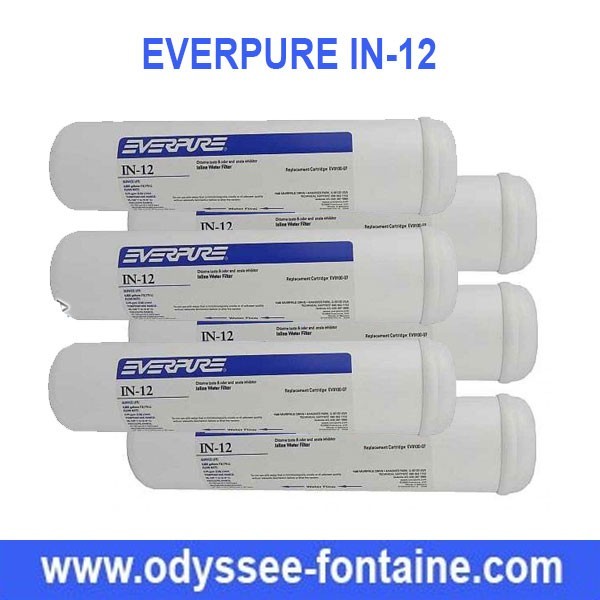 Cartouche filtre Everpure IN-12