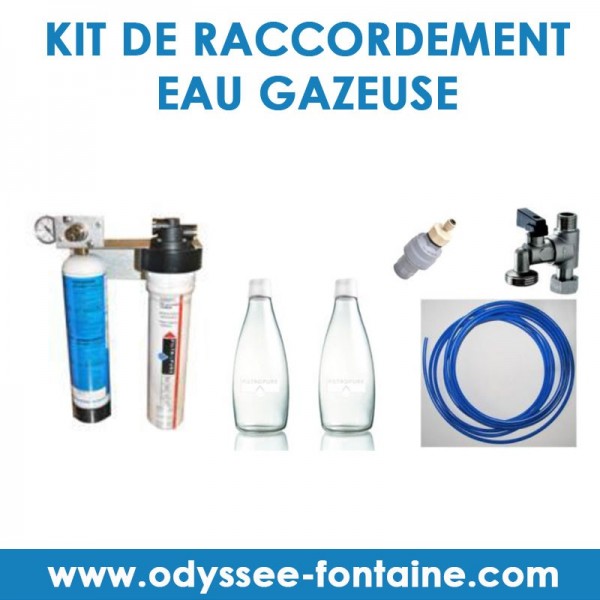 Pack] Kit complet - Fontaine a eau, machine eau gazeuse, distributeur d eau,  machine eau pétillante - AS-45, 2-ligne